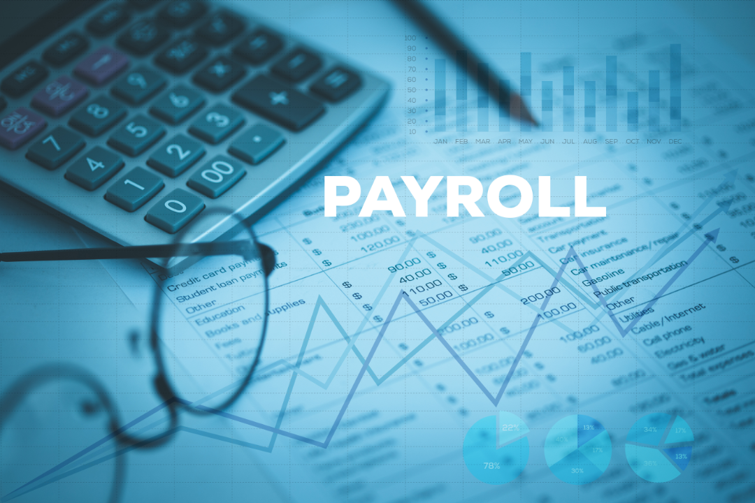 online payroll services Provider