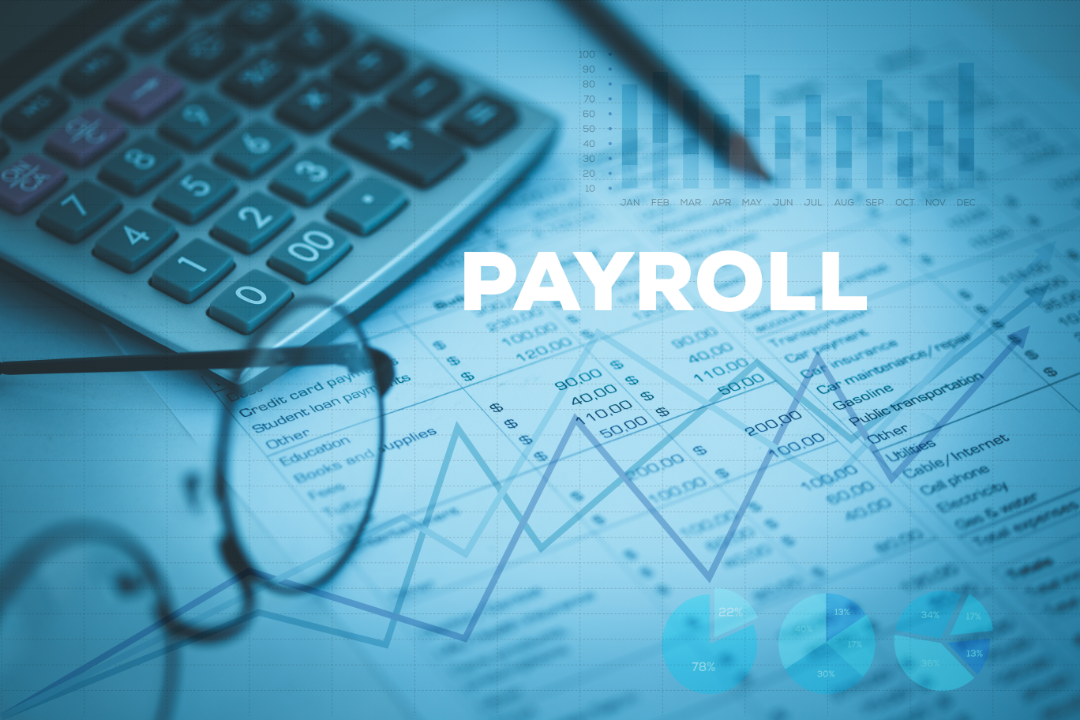 Important Features Of A Payroll Service Provider